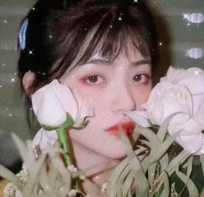 流浪的心